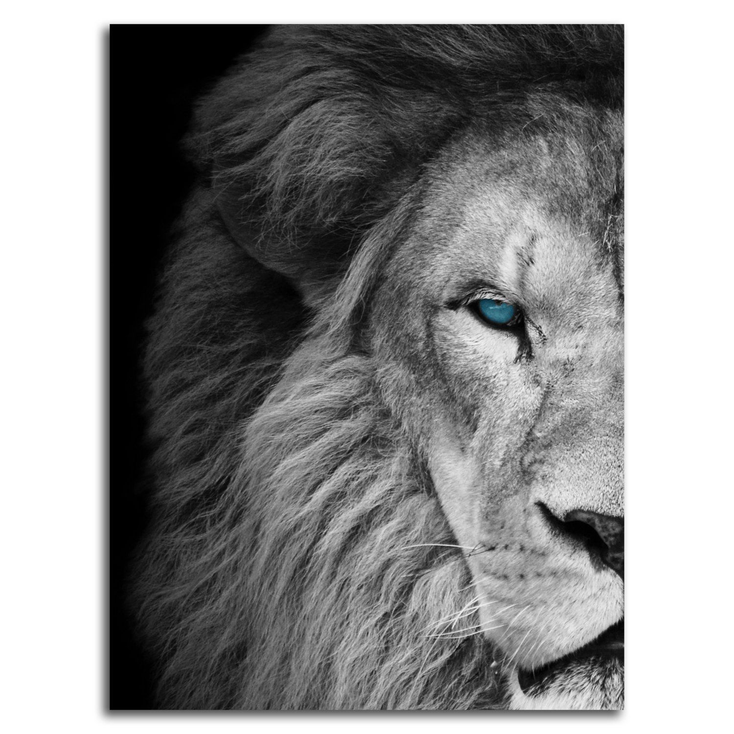 Холст H-1146S (48х39) лев-половинка