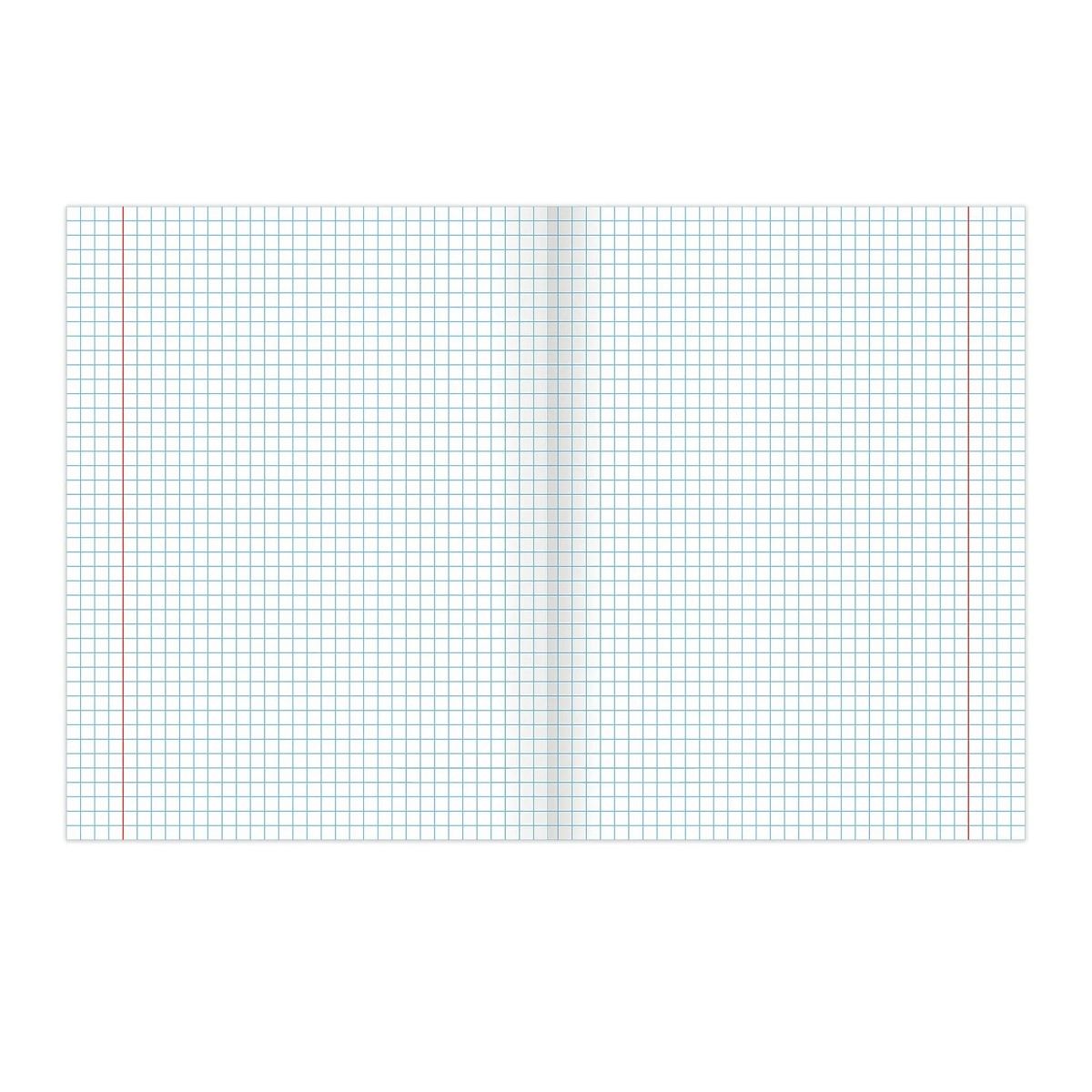 Тетрадь А5 Brauberg 48 листов клетка Природа