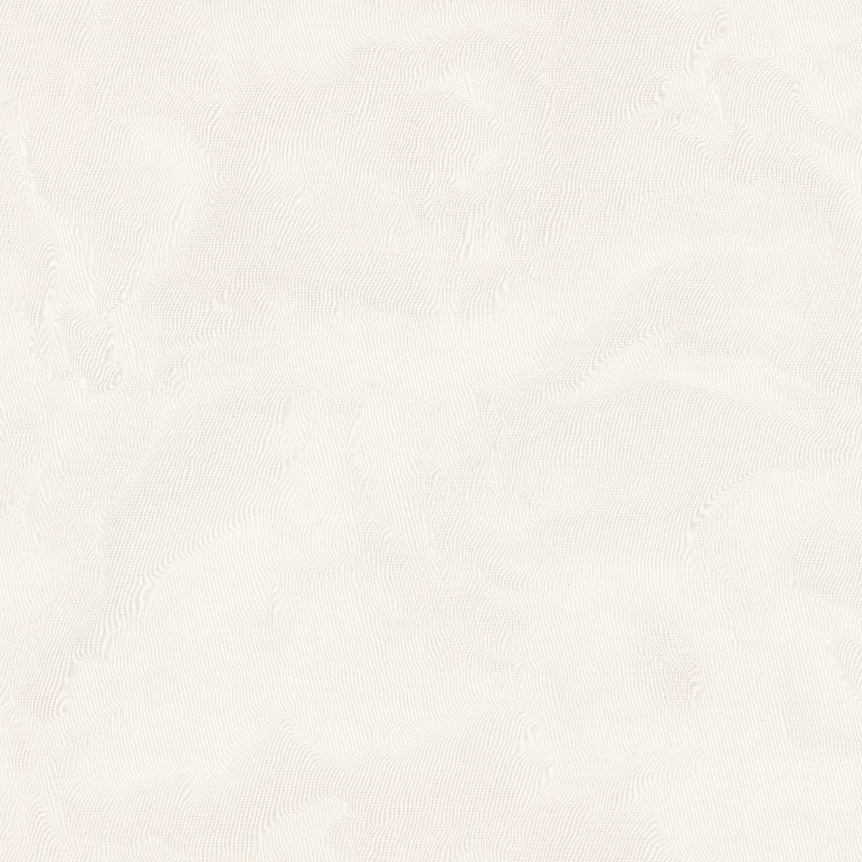 Обои Euro Decor Floravento 7325-02 бежевые штукатурка 1,06х10,05 м