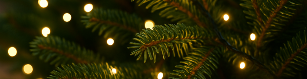 Ветки ёлки с плотной гирляндой и мягким равномерным светом для атмосферного декора