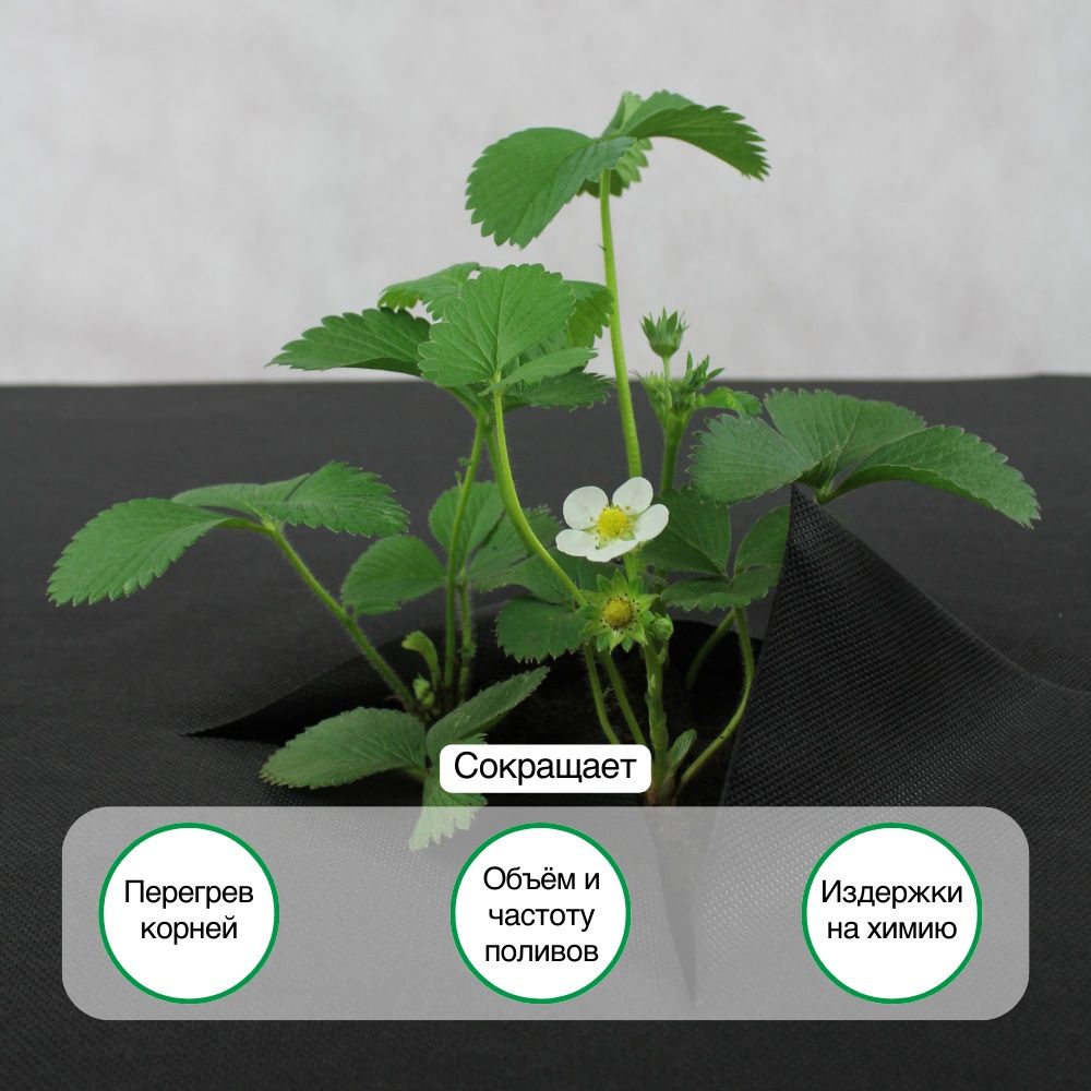 Укрывной материал Профф 60 UV 60 г/м2 1,06х10 м спанбонд