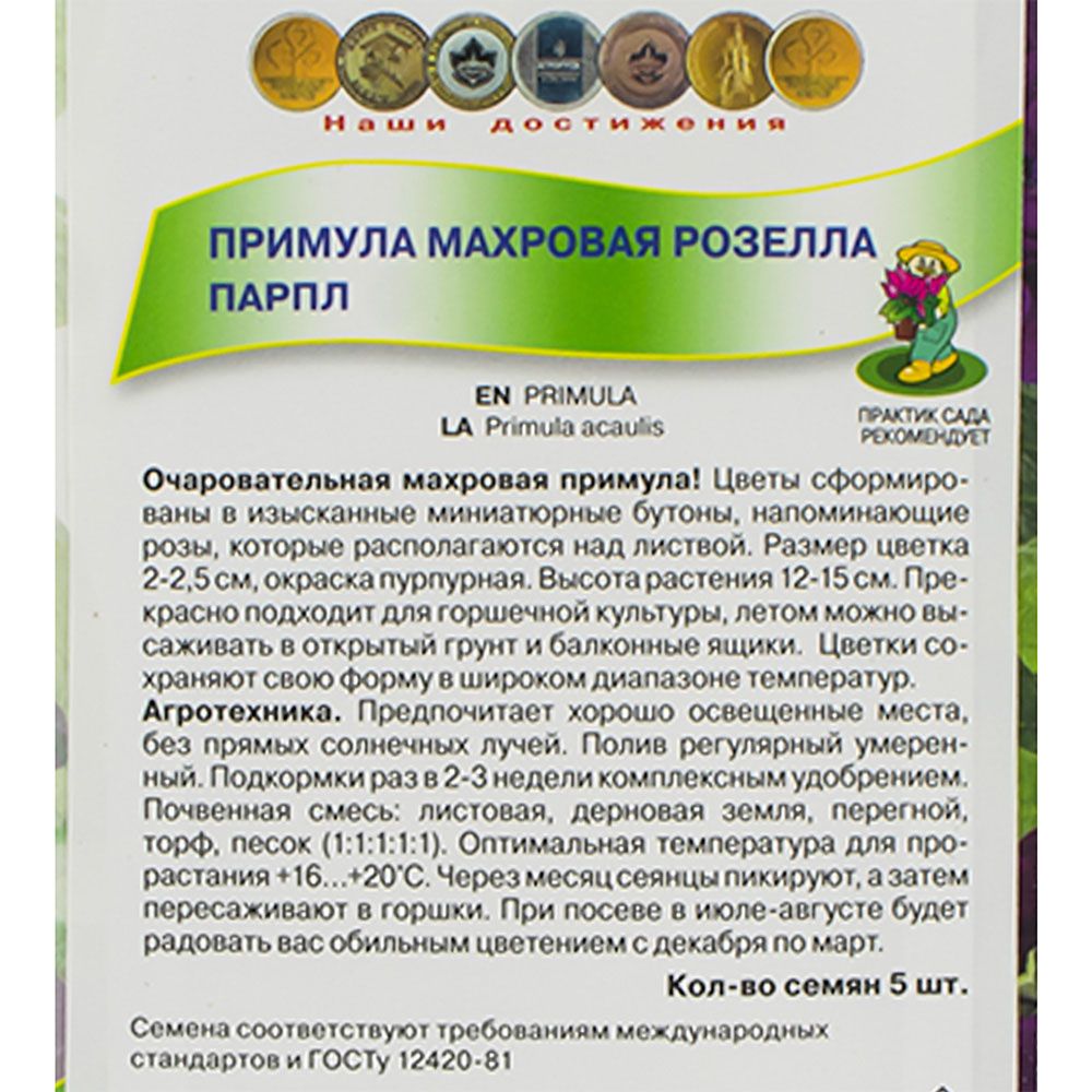 Примула махровая Розелла Парпл цв "К