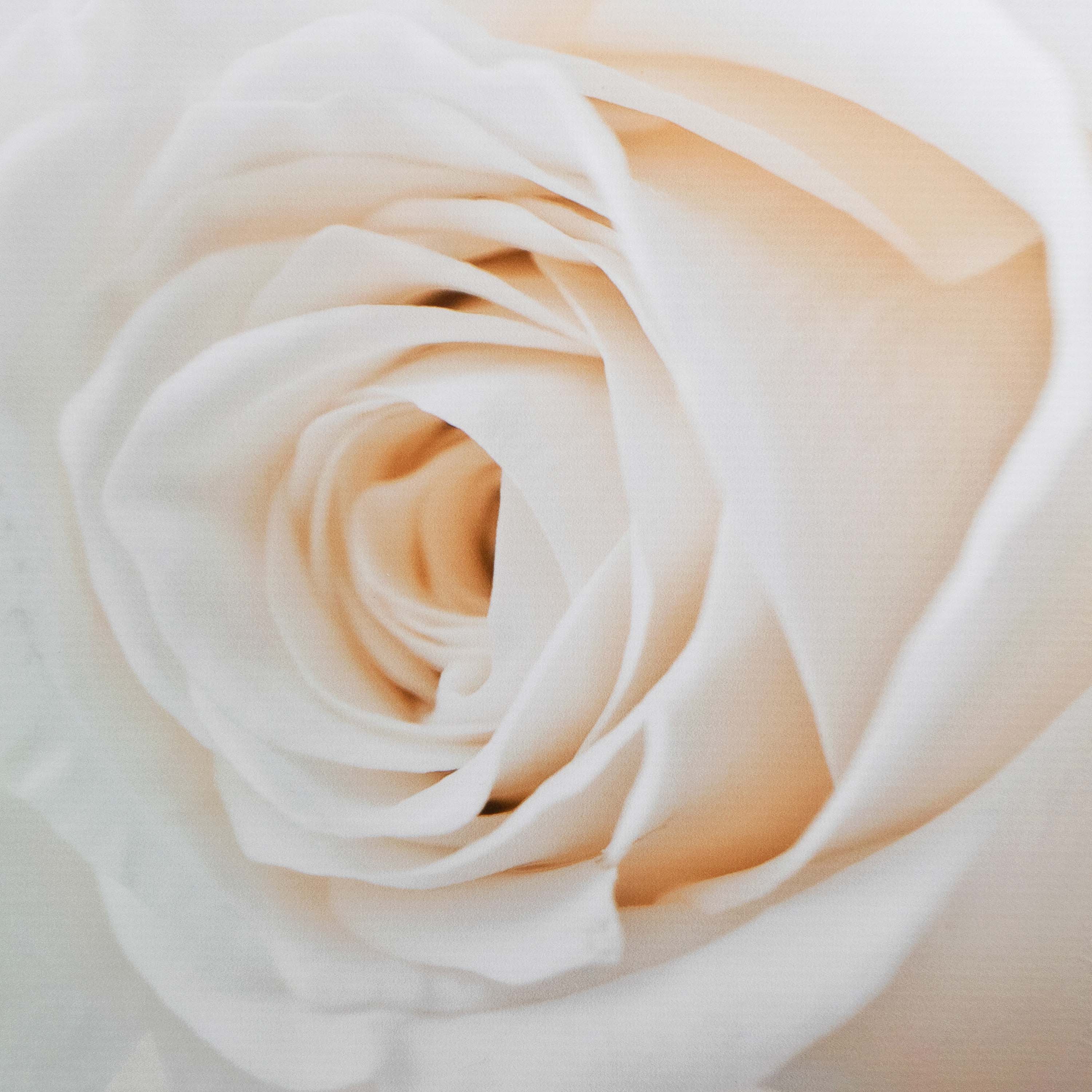 Картина модульная Простота S-0659 114х77 см 6 элементов