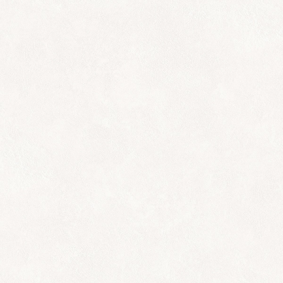 Обои 285641 Ateliero 1,06х10 м Rinaldi фон белый