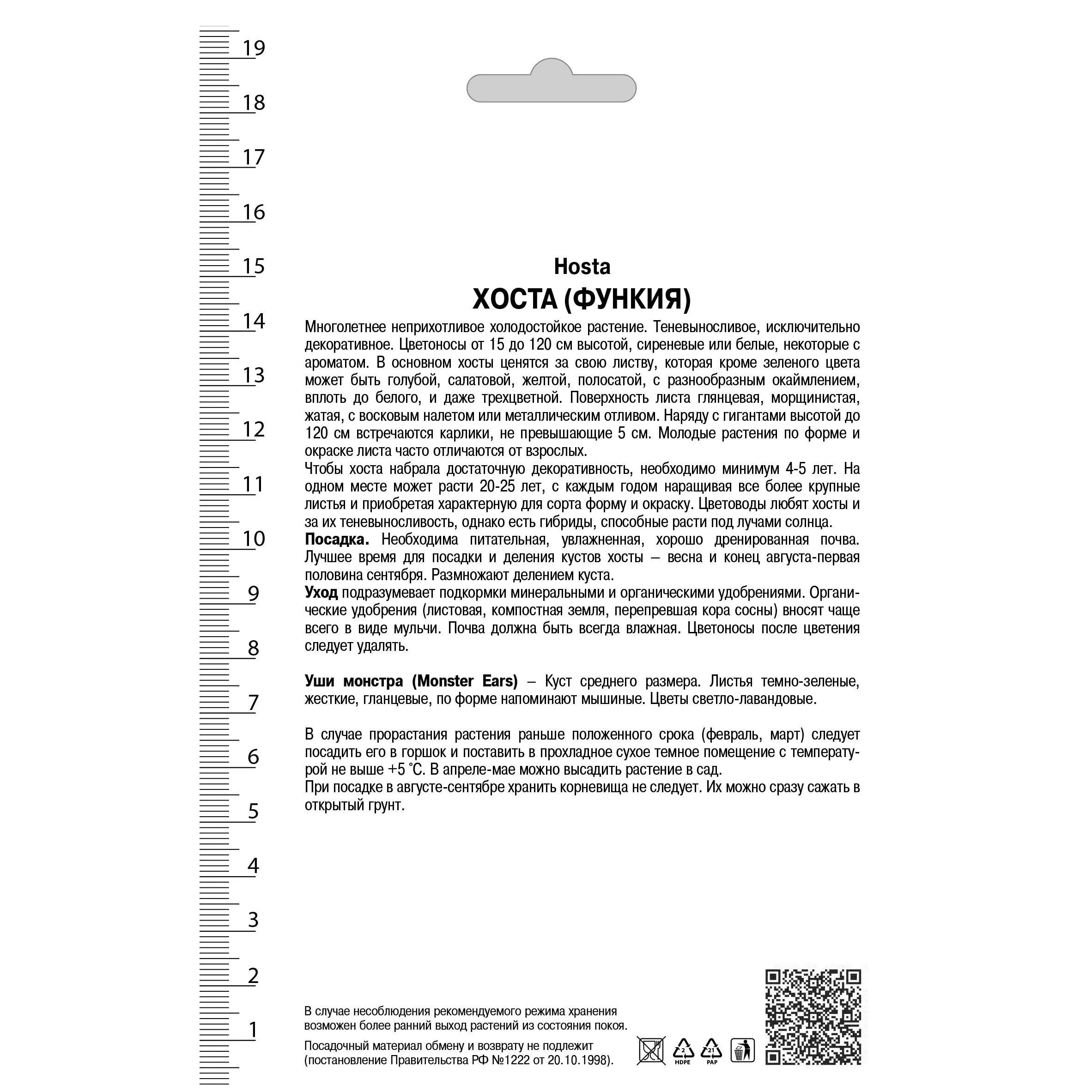 Хоста гибридная Монстер Ирз/К