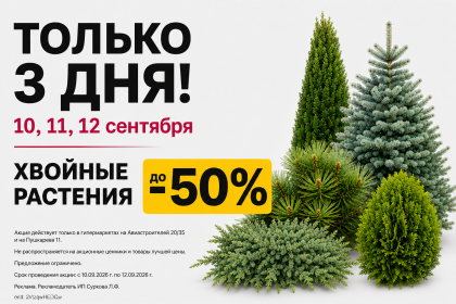 Только 3 дня скидки на Хвойные растения!