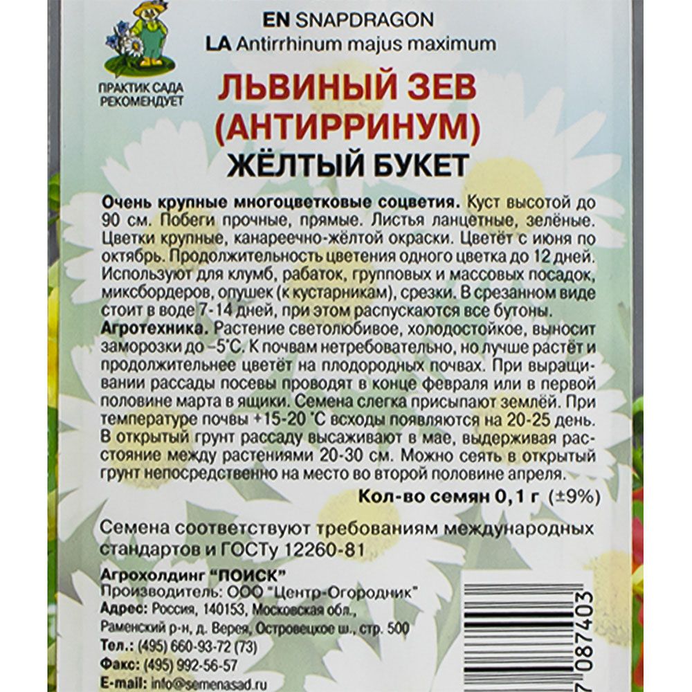 Львиный зев желтый букет ц/п