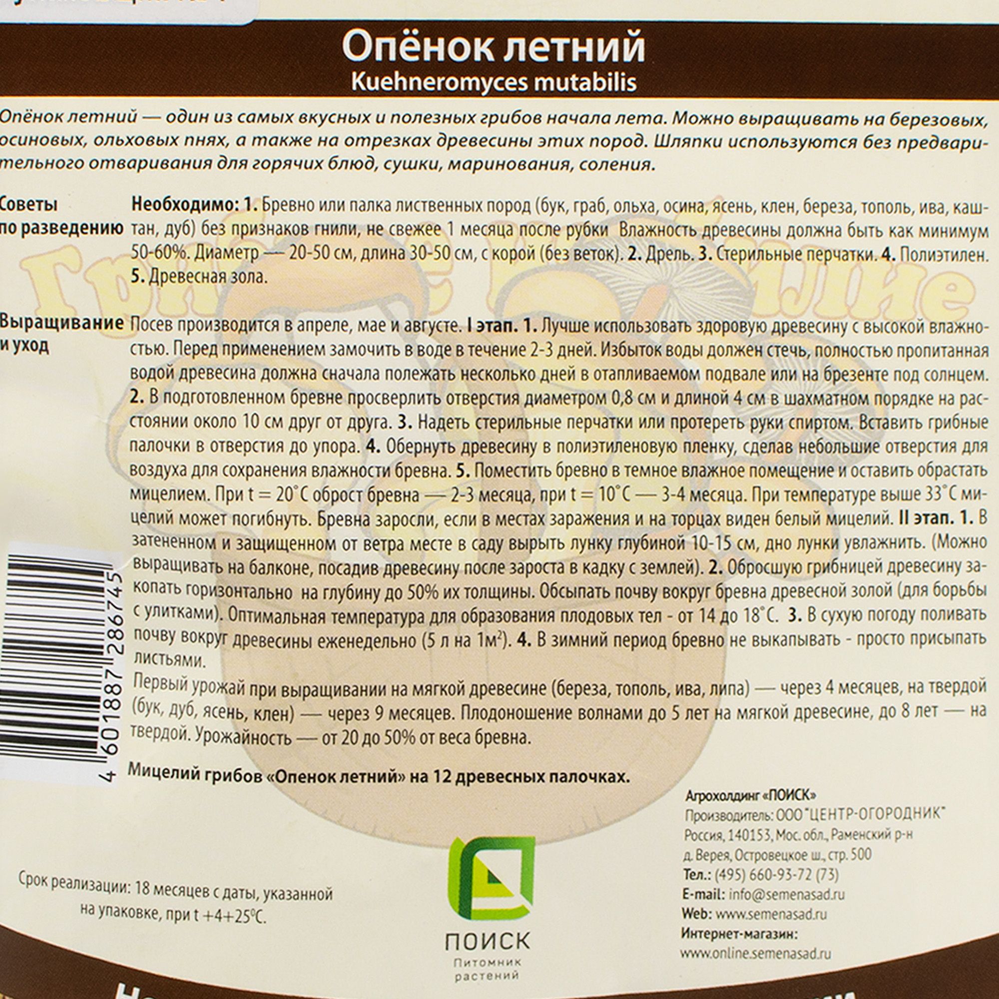 Опёнок летний (12шт)