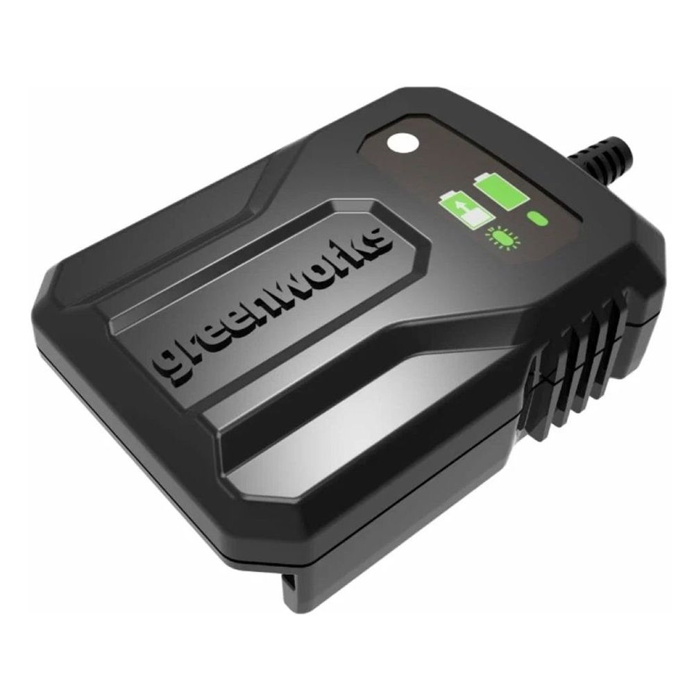 Зарядное устройство Greenworks G40UCM2M 40В 2А
