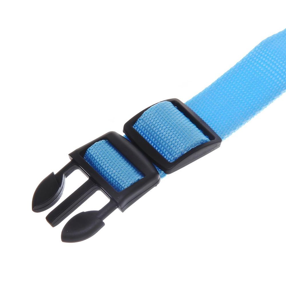 Ошейник для собак Люмисцент 2,5х50 см светящийся голубой Ультрамарин