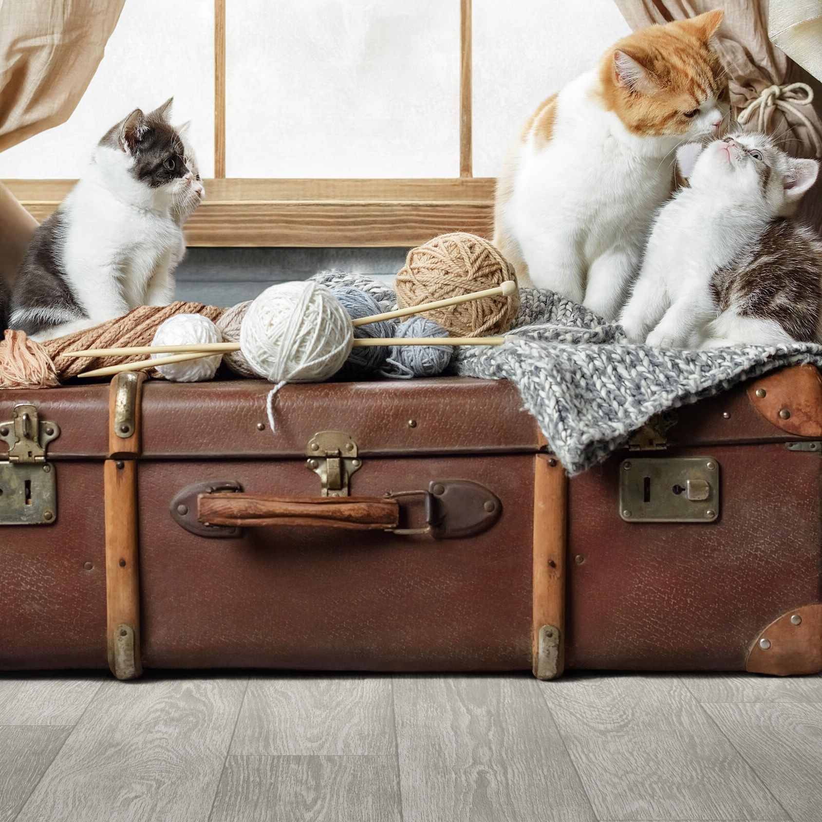 Линолеум Tarkett Junior Arnold 1 21/32 2,5 м