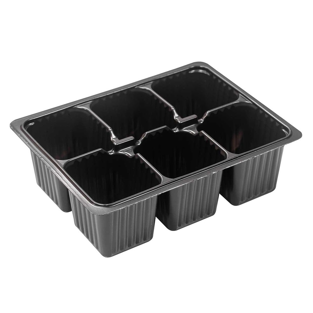 Кассета для рассады 6 ячеек 18х13,5х6 см