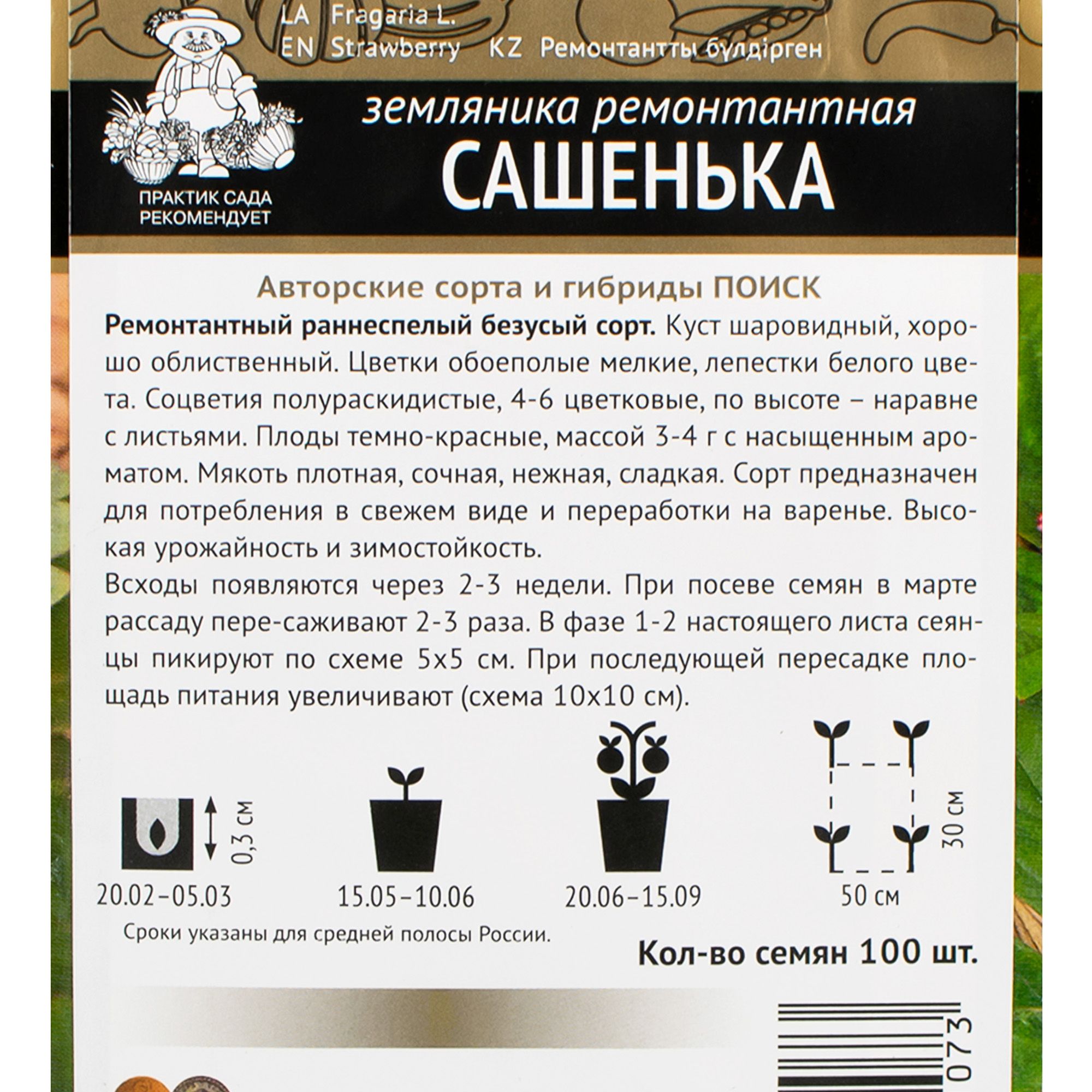 Земляника ремонтантная Сашенька (А) ц/п