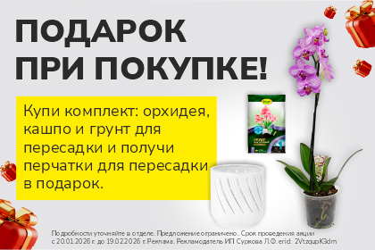 Подарок при покупке комплекта