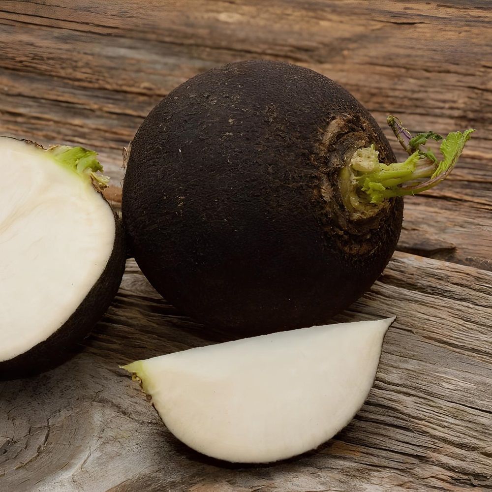 Редька Ночка(А) (ЧБ) 2гр.