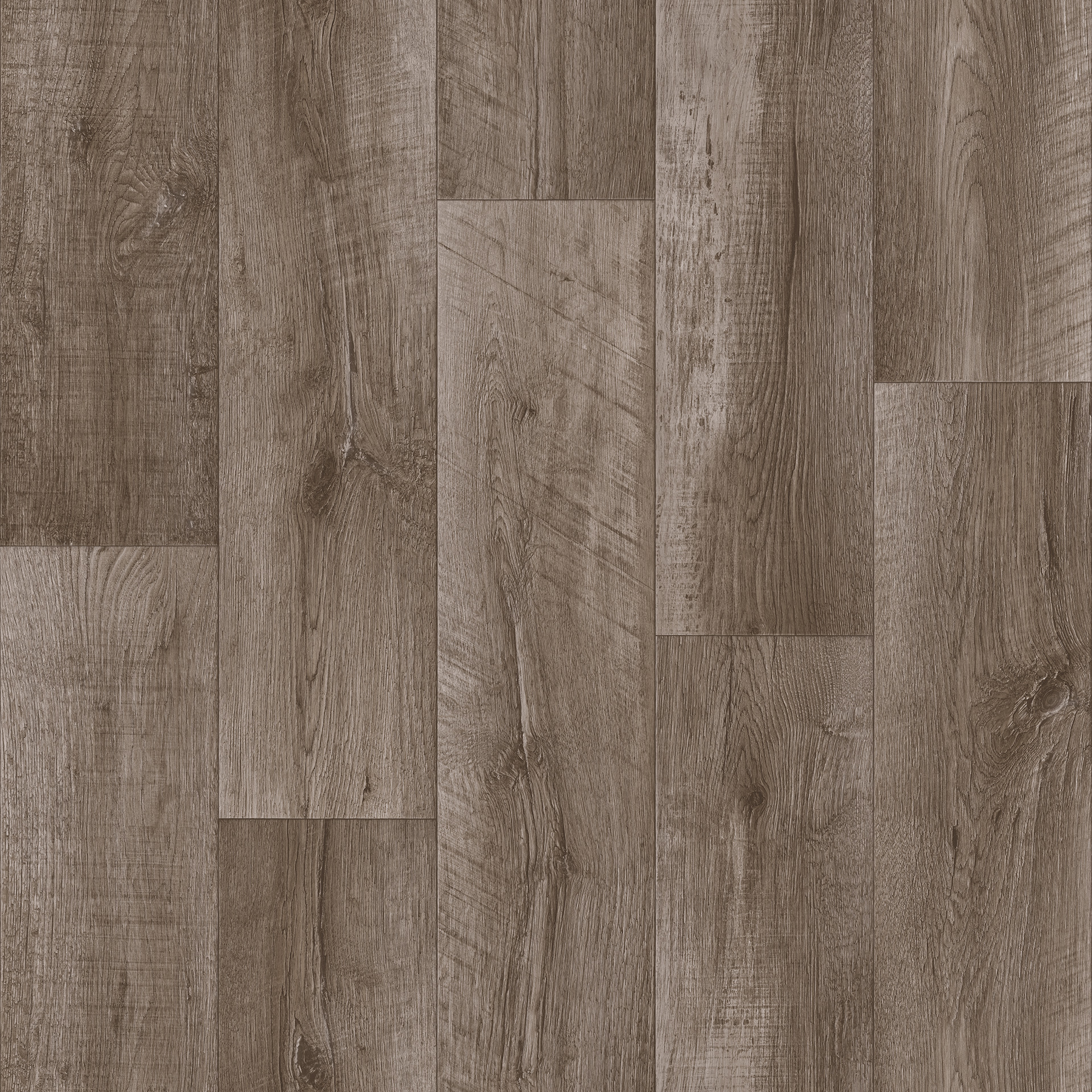 Линолеум Tarkett Club Alpha 2 23/32 класс 3,5 м