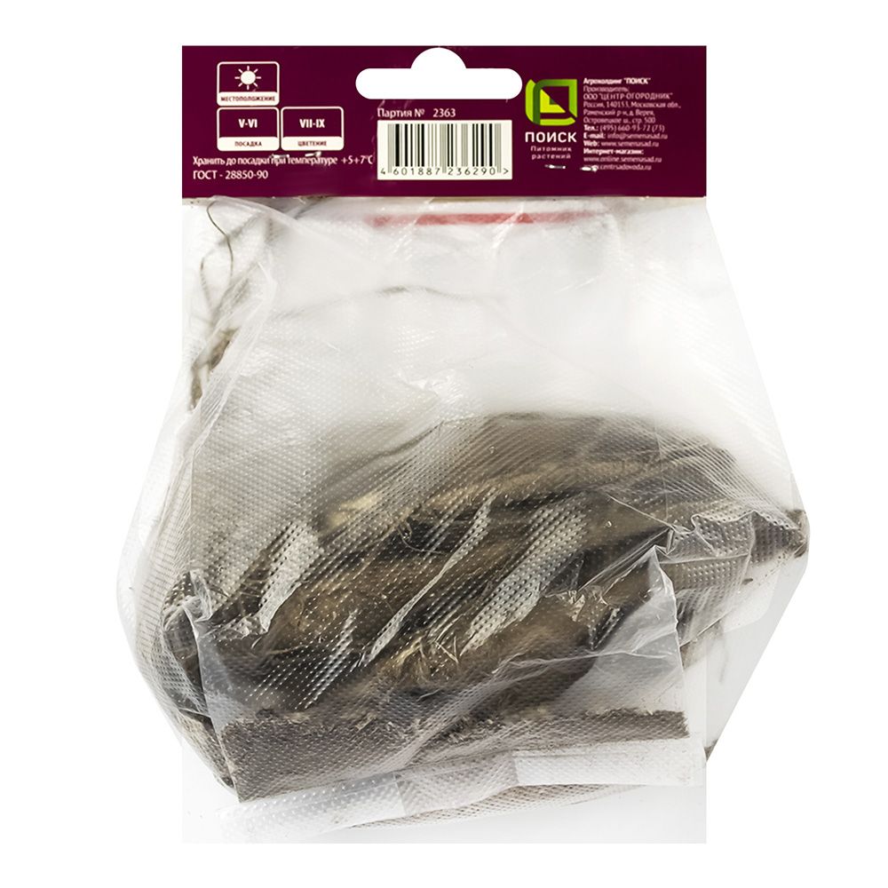 Георгина Мингус Алекс I/К декоративная