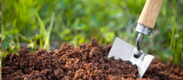 Грунт и удобрения