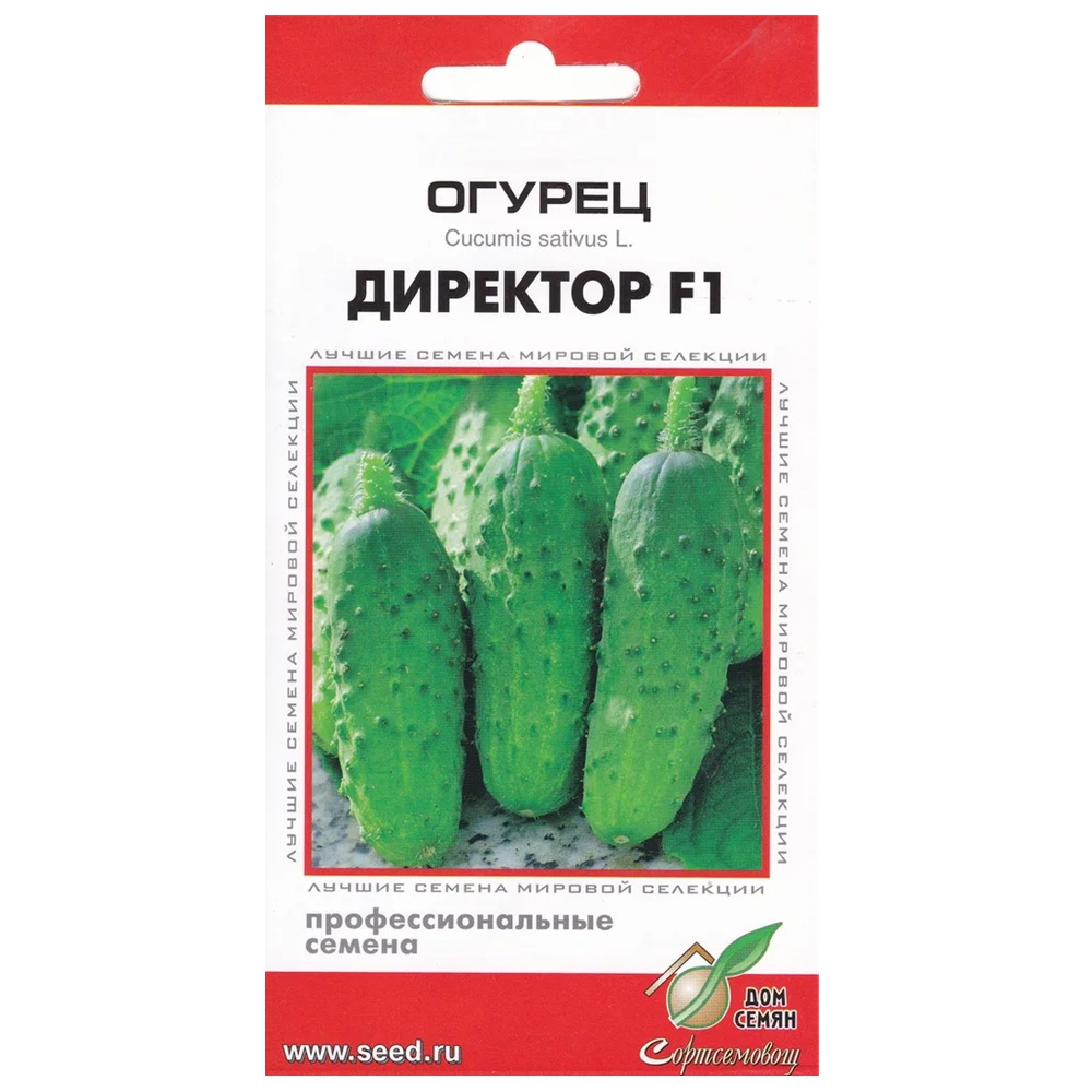 Огурец Директор F1 Дом семян