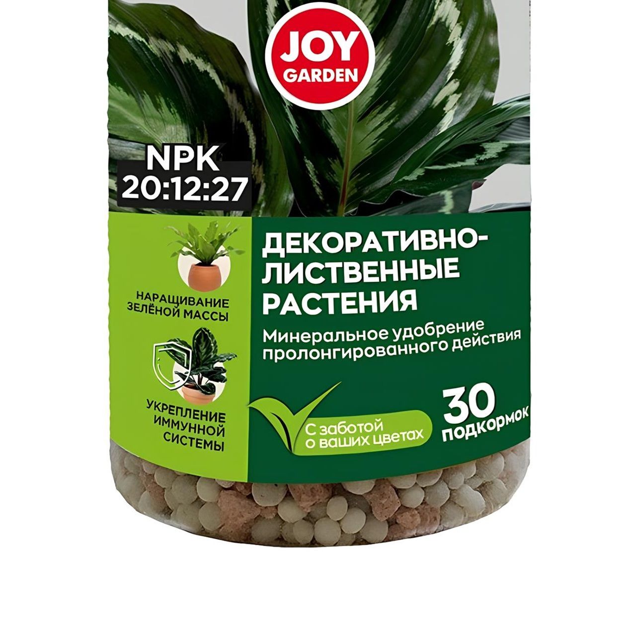 Удобрение для декоративно-лиственных растений Joy Garden 200 г