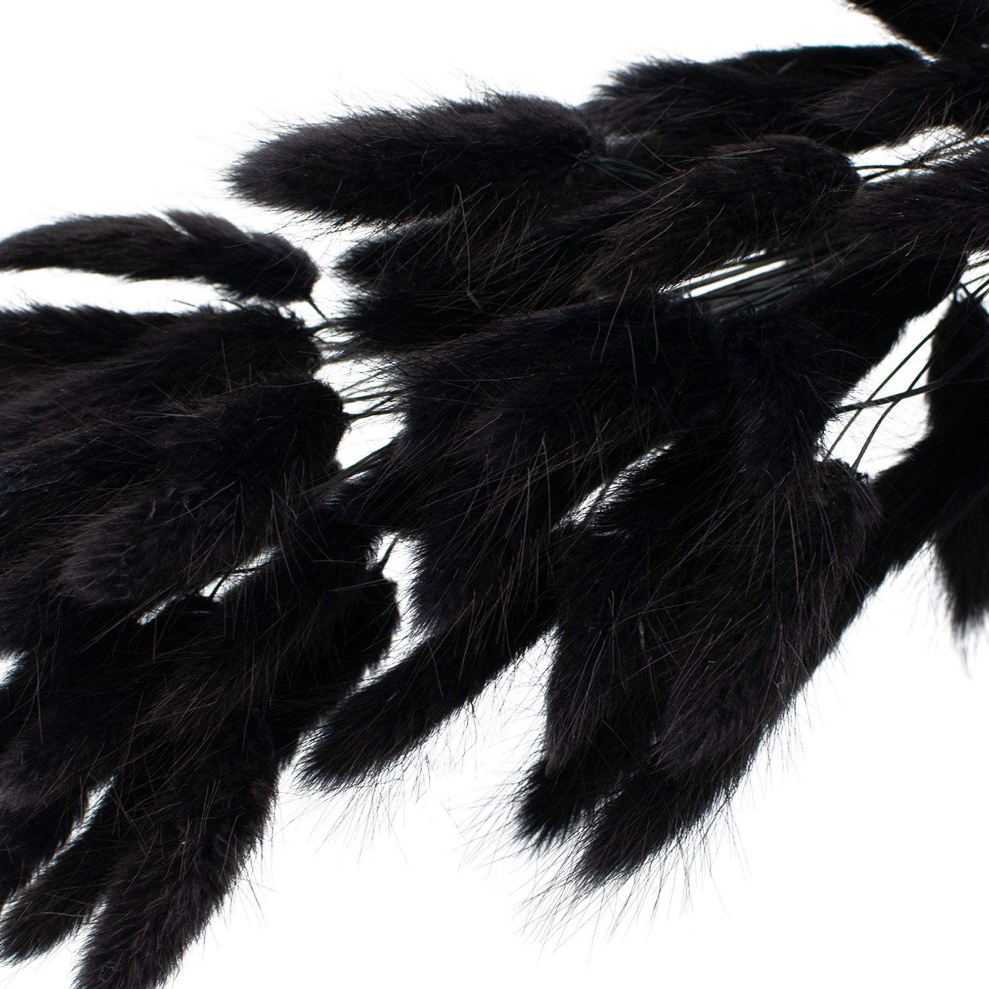 Лагурус сухоцветы