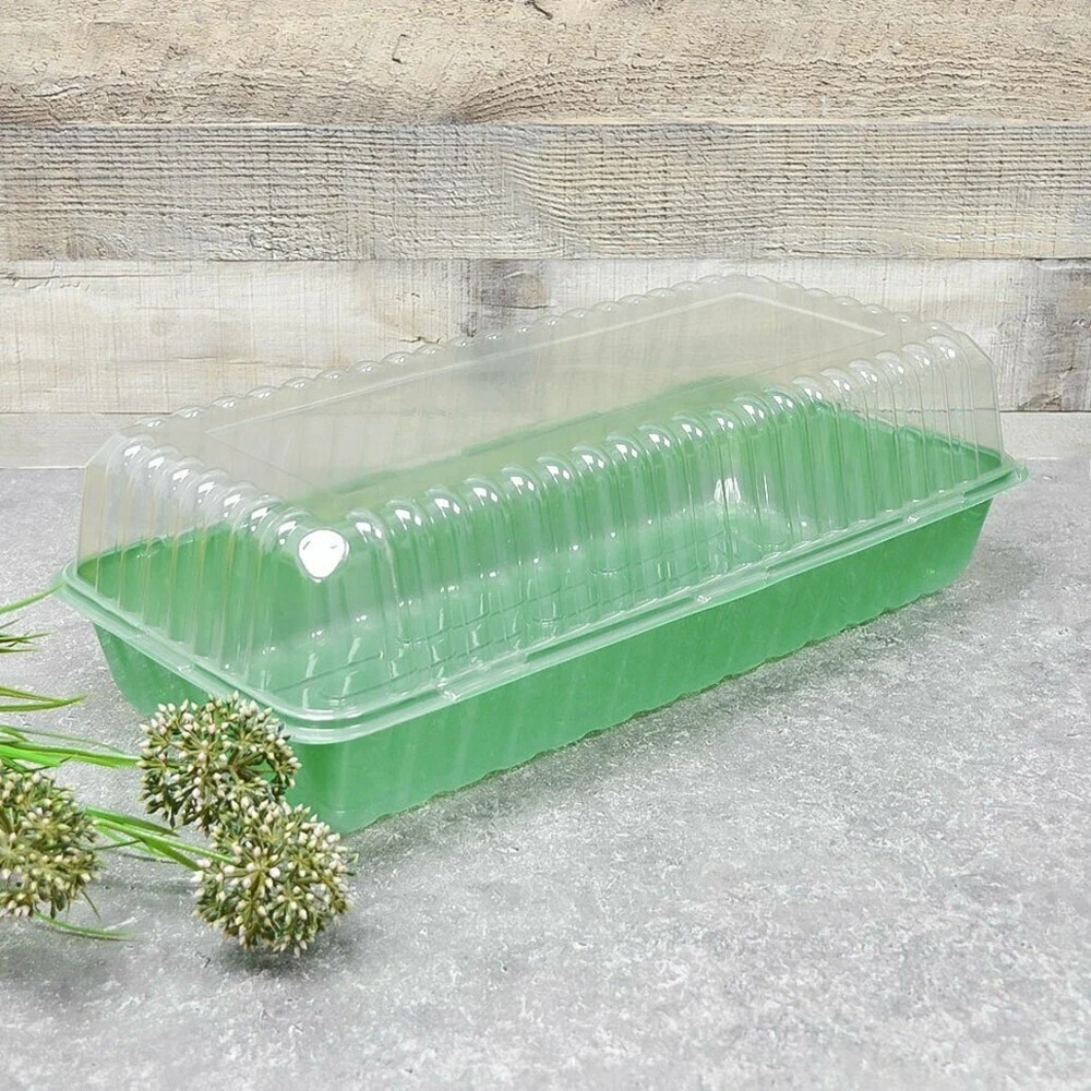 Мини-парник для рассады 3 места 44х22х6,5 см Агроком