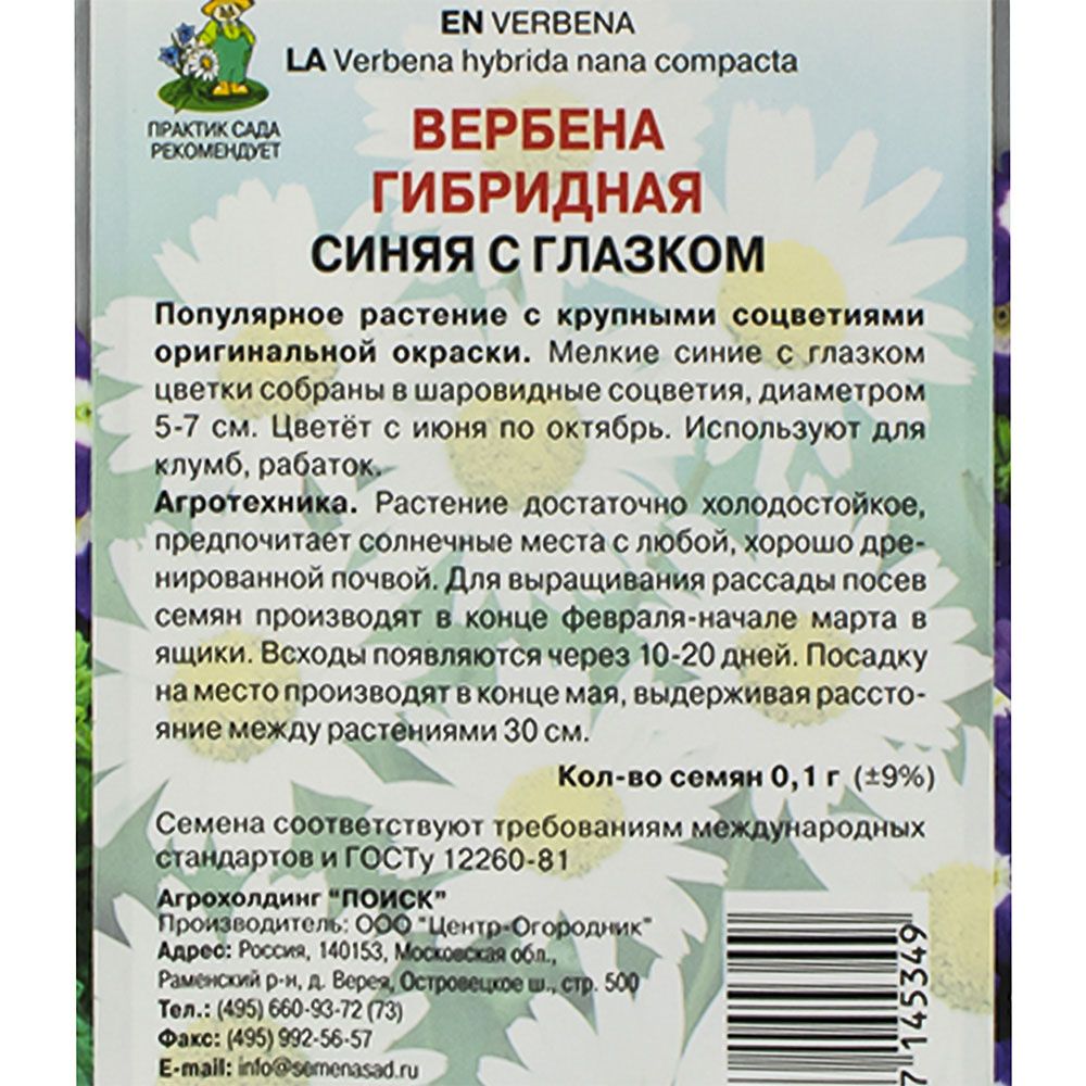 Вербена гибридная Синяя с глазком, ц/п