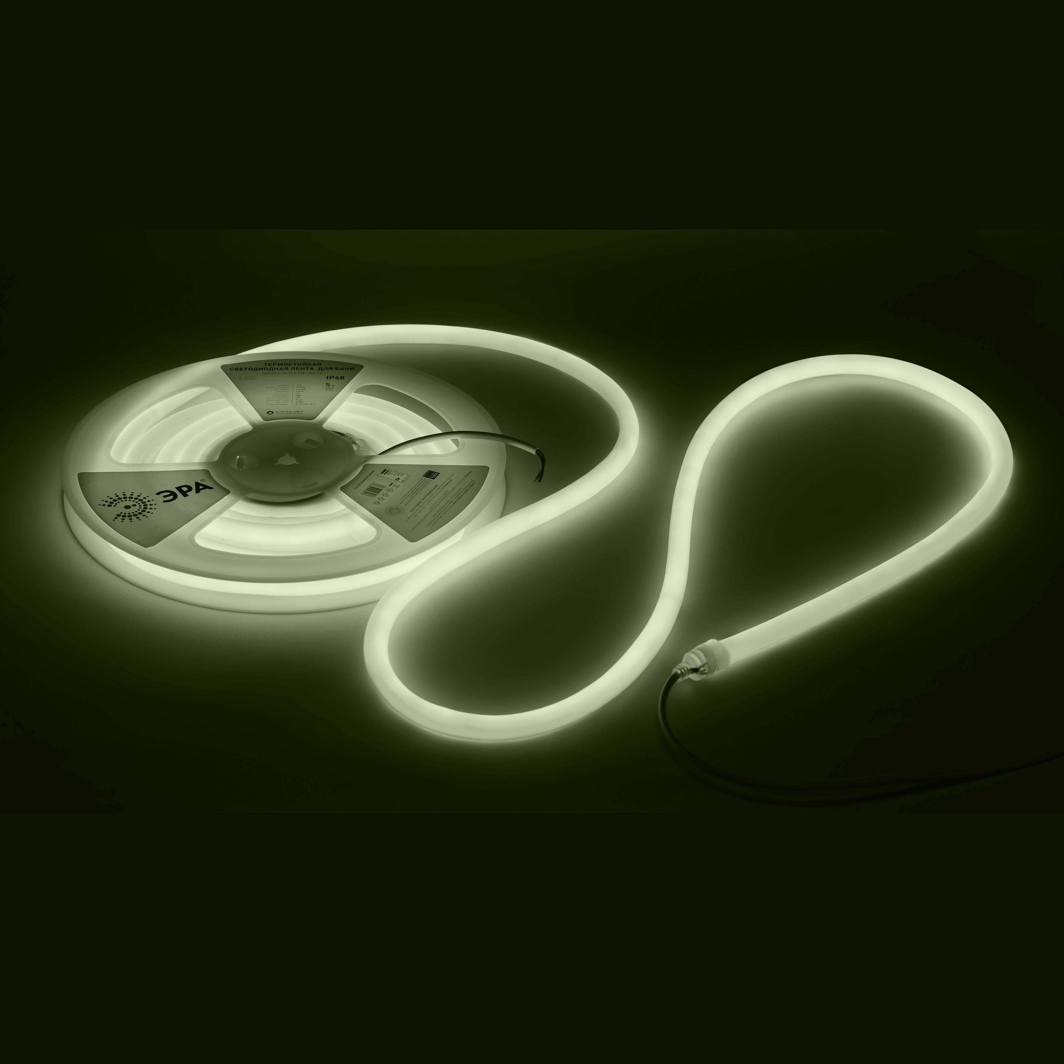 Лента светодиодная термостойкая Эра LED LS2835-9,6-120 24В 4000K IP68 5 м белый