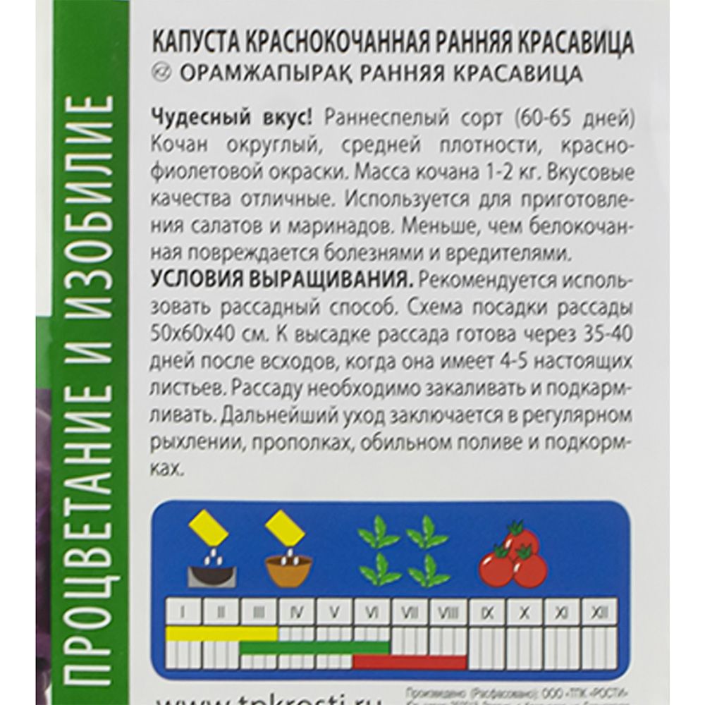 Капуста краснокочанная Ранняя красавица семена Агроуспех 0,3 г