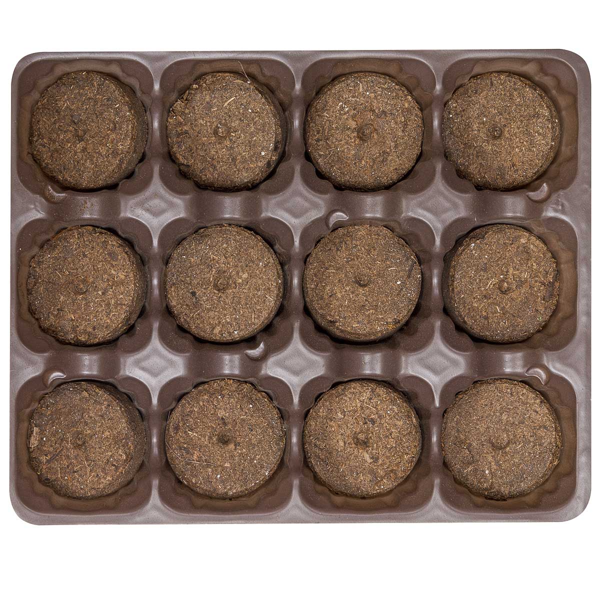 Парник с торфяными таблетками 41 мм 24 шт с крышкой