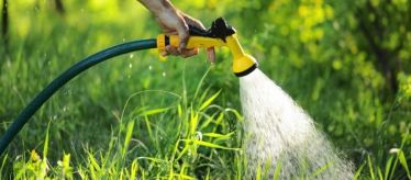 Лейки для полива