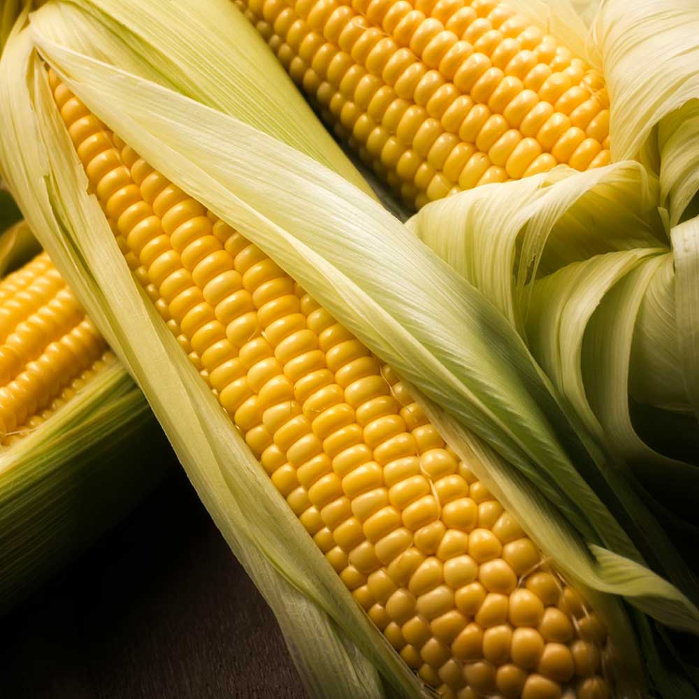 Кукуруза Лакомка Белогорья (А) ц/п