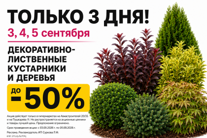 Только 3 дня скидки на Декоративно-лиственные растения!