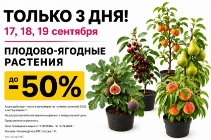 Только 3 дня скидки на Плодово-ягодные растения!
