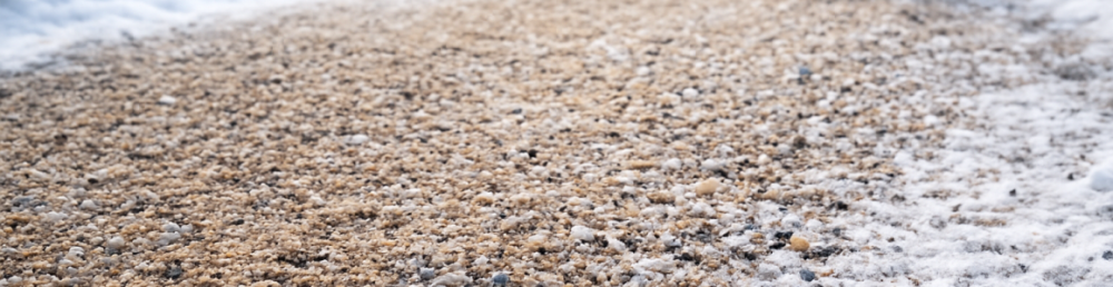 Песок и минеральная крошка распределены по дорожке, собака уверенно идёт без скольжения.