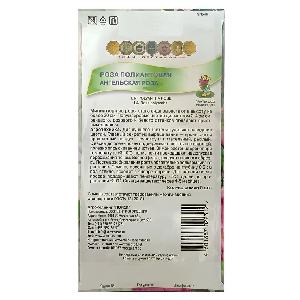 Роза полиантовая Ангельская роза (ЦВ) ("К) 5шт.