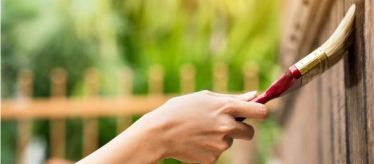 Морилки для дерева