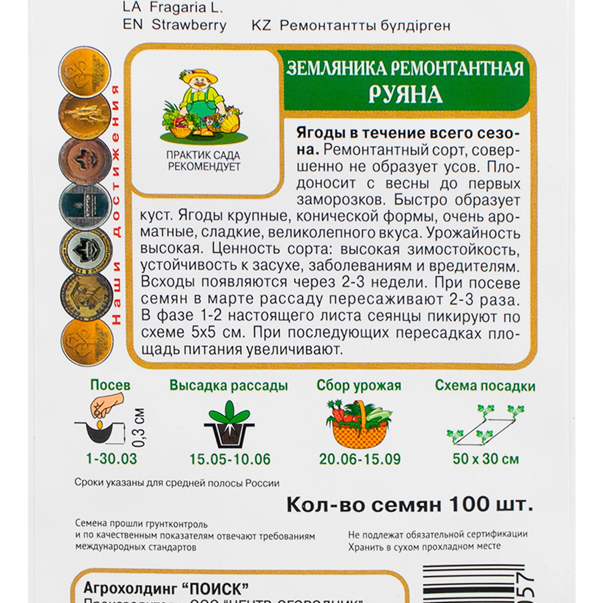 Земляника ремонтантная руяна ц/п
