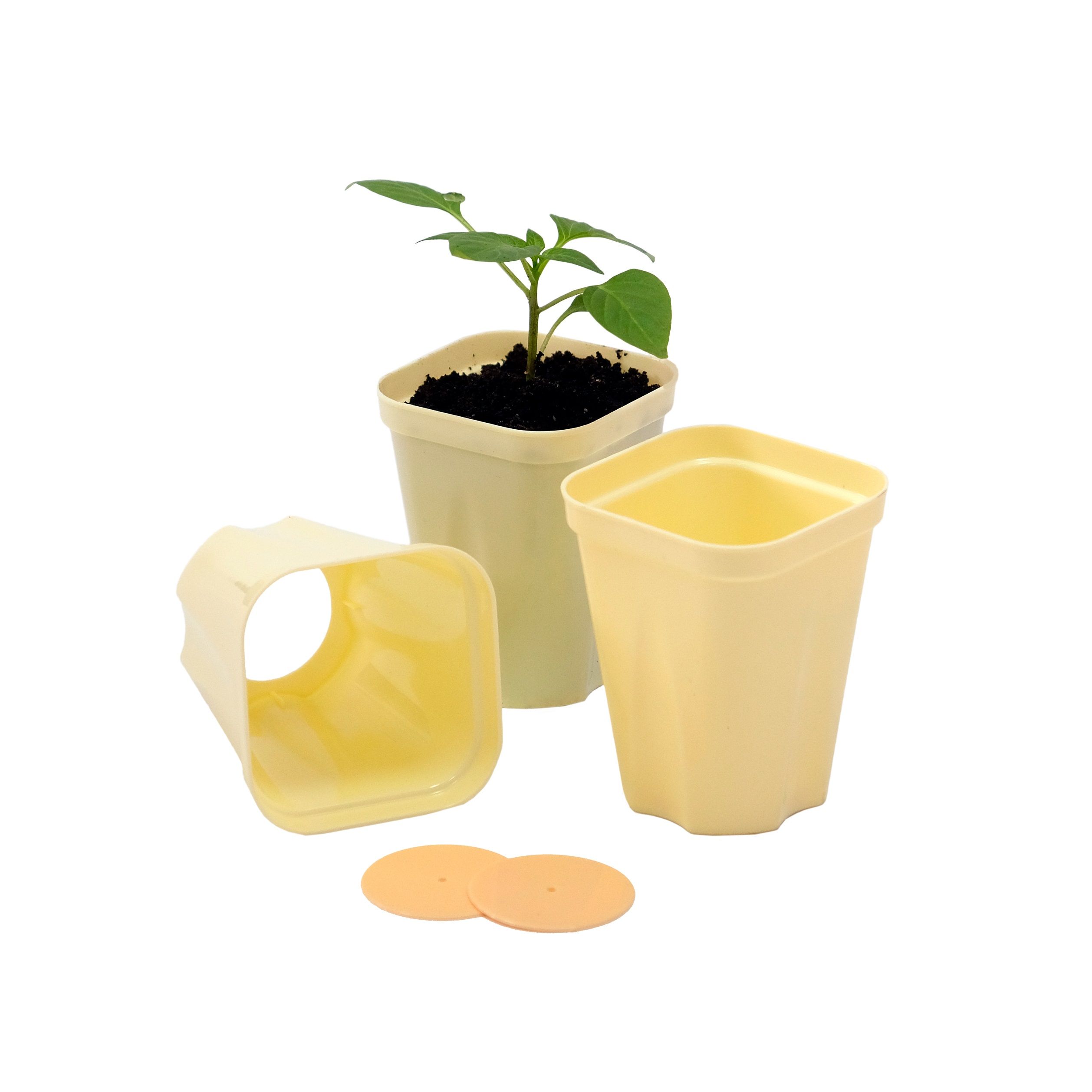 Набор для рассады Рассадник Дом и Дача 470х166х90 мм (12 стаканчиков)