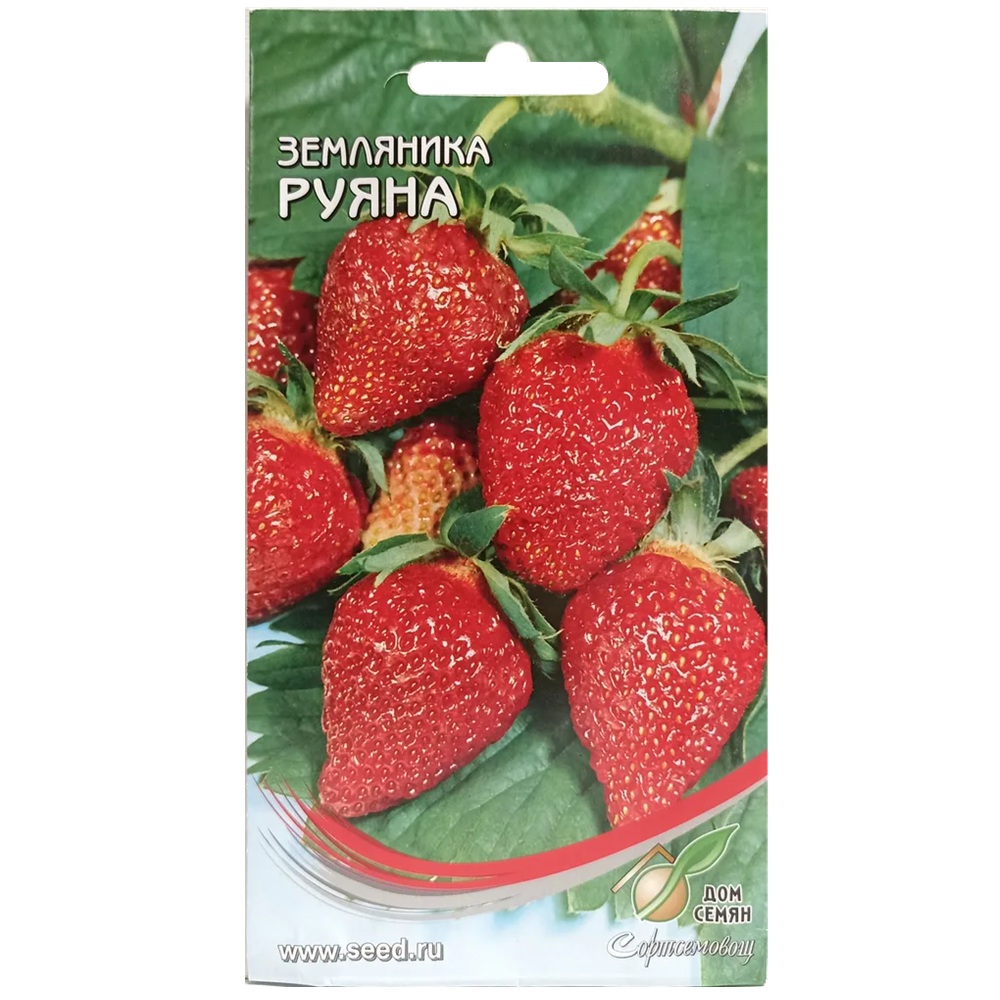 Земляника Руяна Дом семян 60 шт