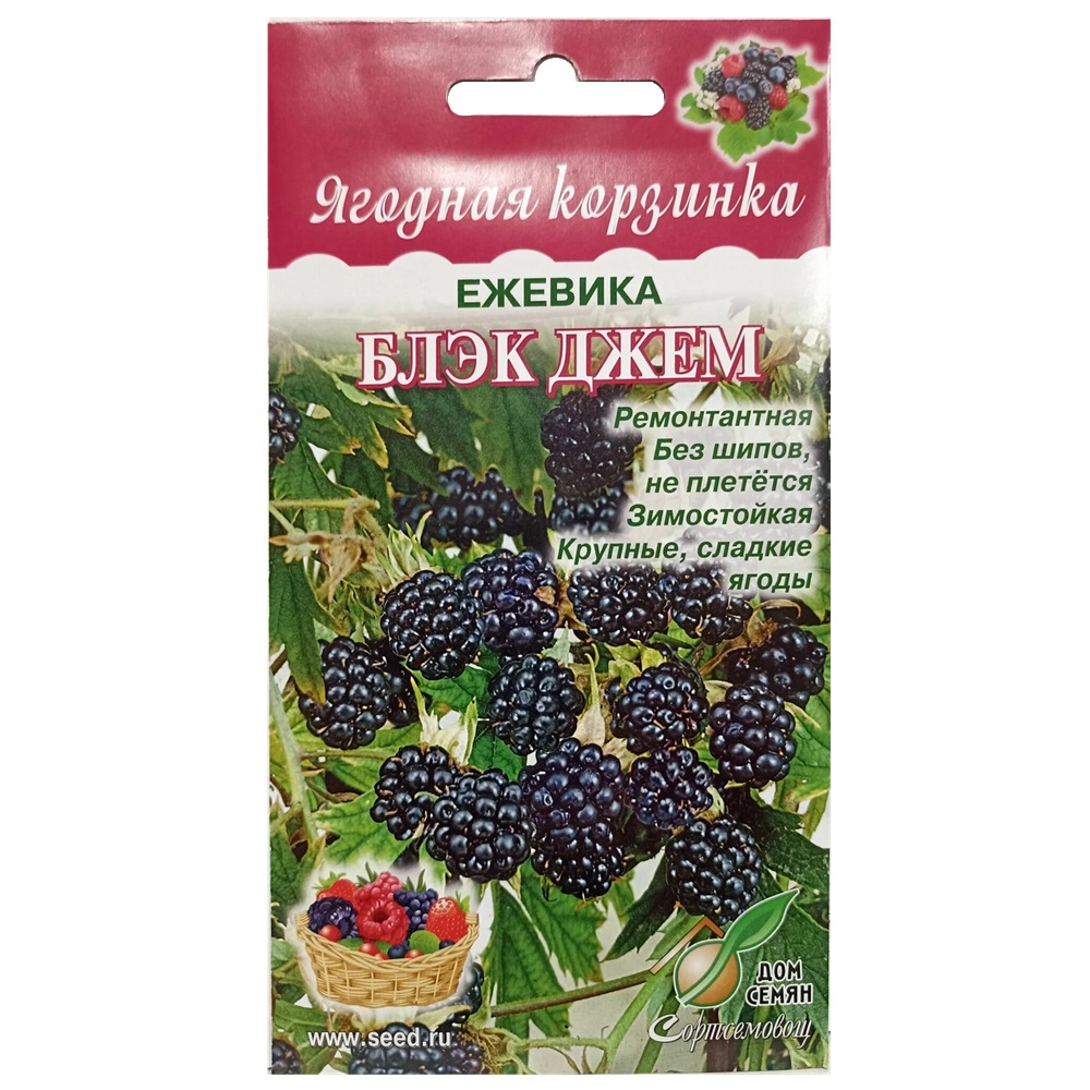 Ежевика Блэк джем Дом семян 20 шт
