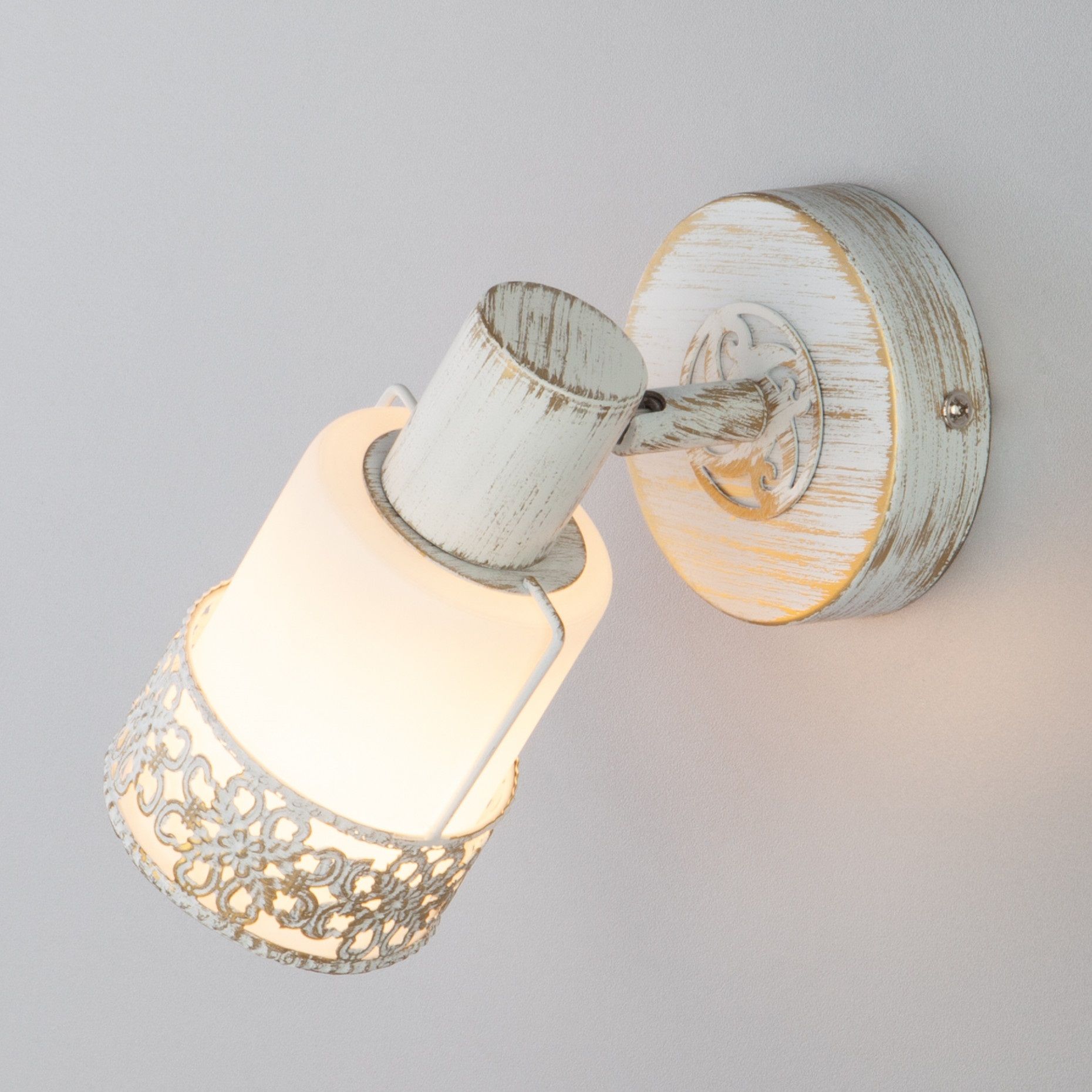 Светильник СПОТЫ - 20025/1 белый с золотом