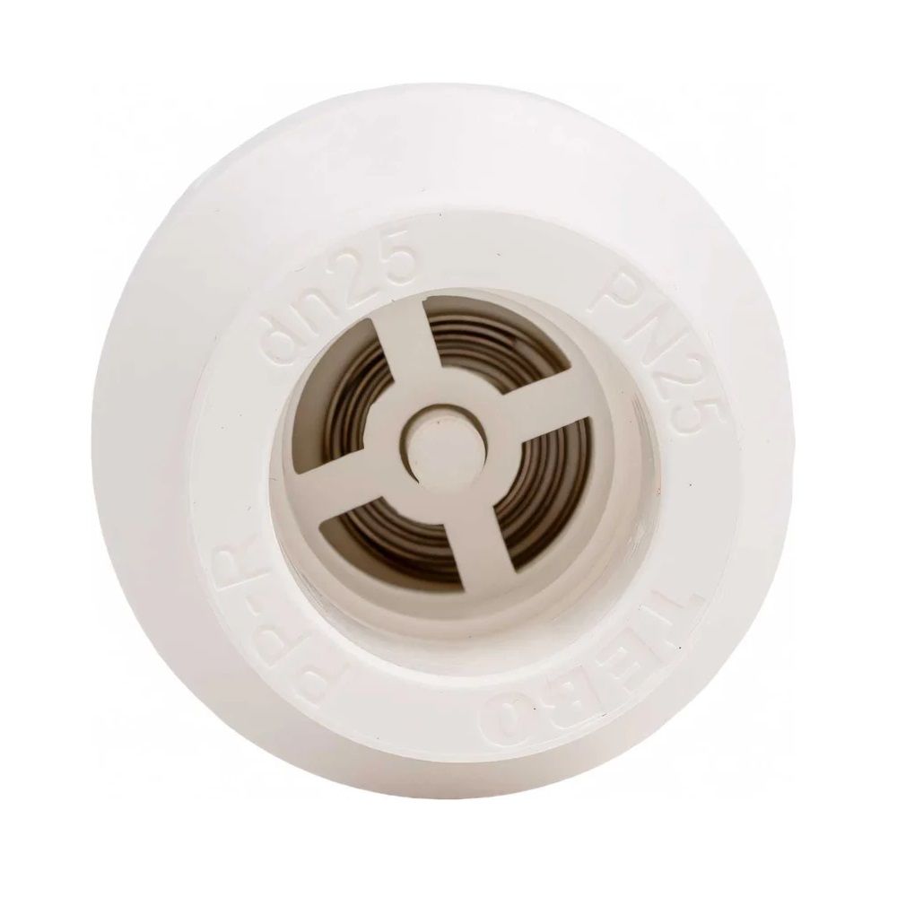 Клапан обратный 1" РТП