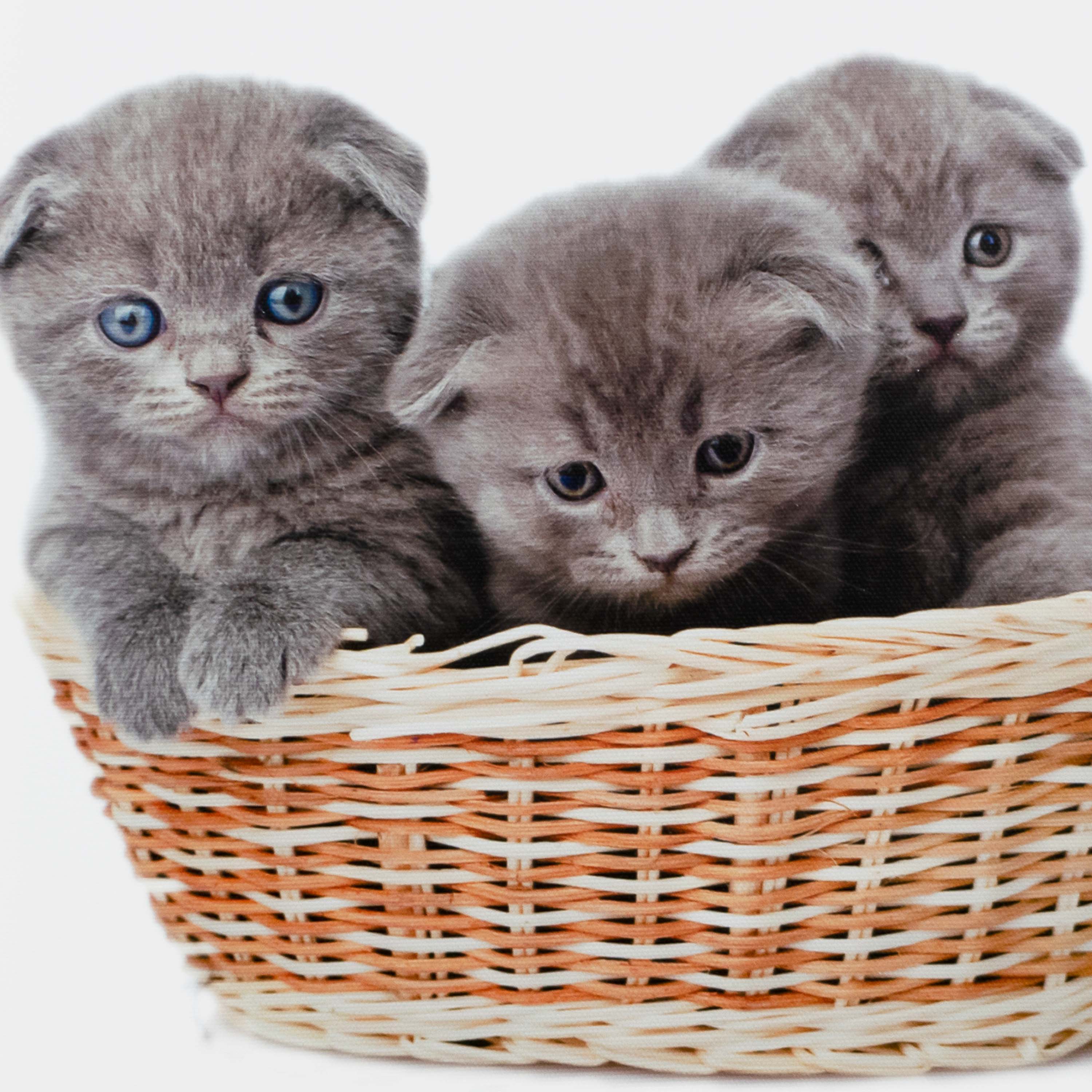 Картина-холст Декоретто Art Котята в корзинке 30x30 cм CV 1359