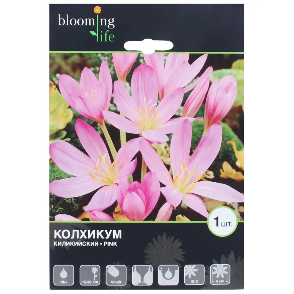 Колхикум киликийский розовый 18+ 1 шт