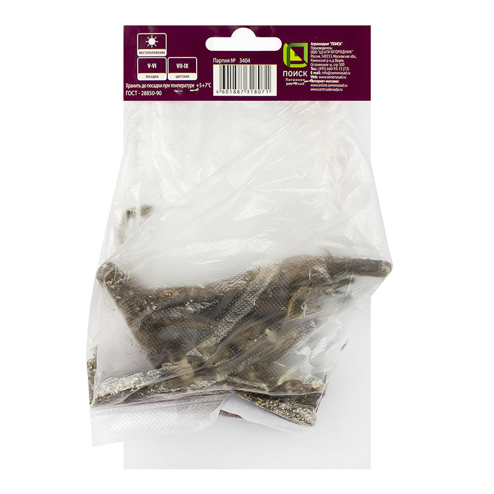 Георгина бахромчатая Тейбл Дансер I/К