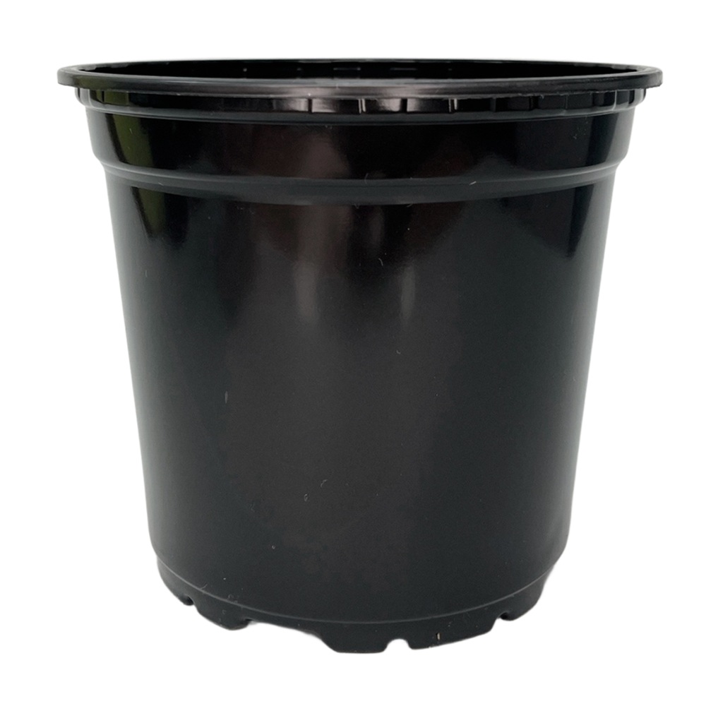 Горшок для рассады 1 л 13х10,4 см круглый черный твердый Амина