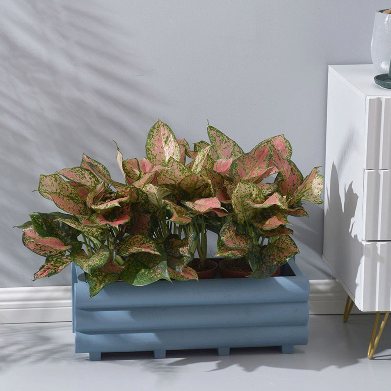 Кашпо голубое 50х20х18 см 2024-3281-3