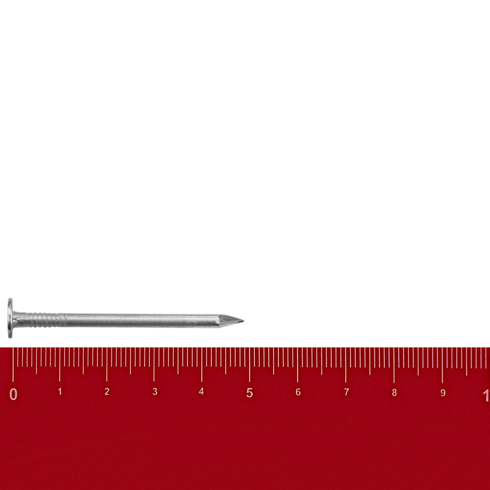 Гвозди толевые евро 2,8x50 мм оцинкованные 0,2 кг