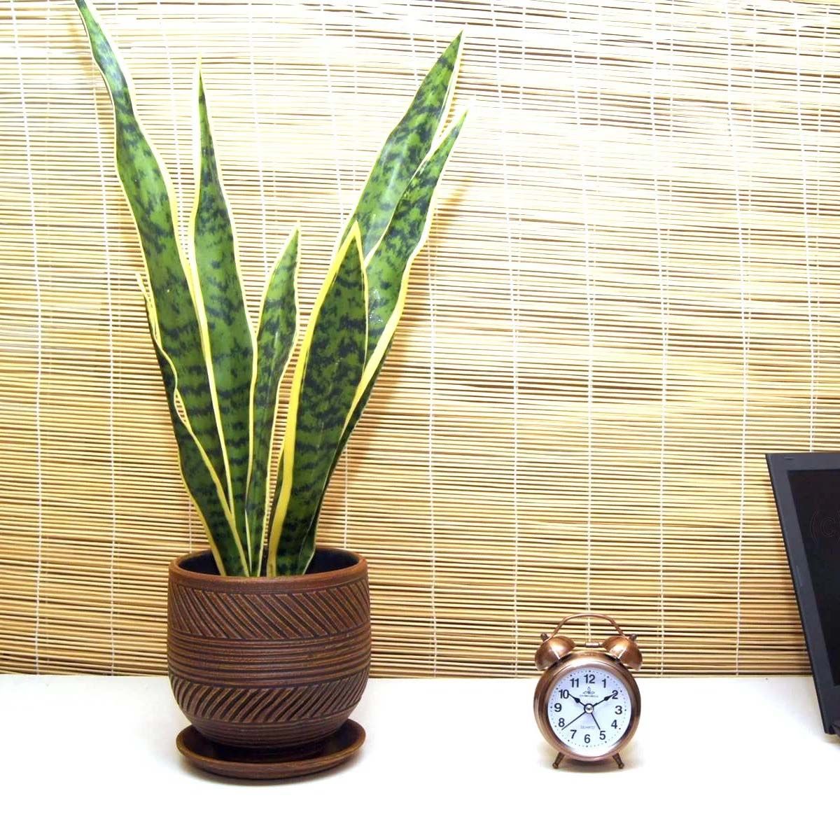 Горшок цветочный Страйп шоколад овал 16 см 2,5 л